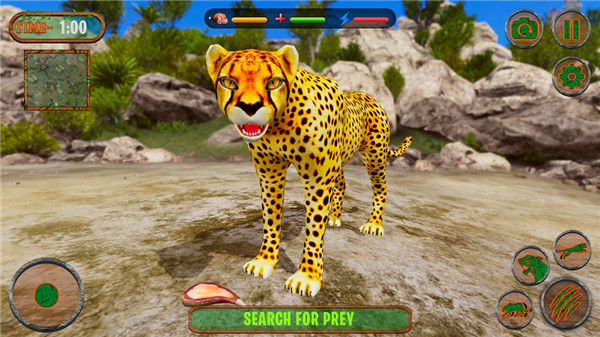 捷豹模拟器野猫-游戏截图1